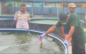 Balai Karantina Pantau Sebaran HPIK dan Ikan Invasif di Kabupaten Mimika