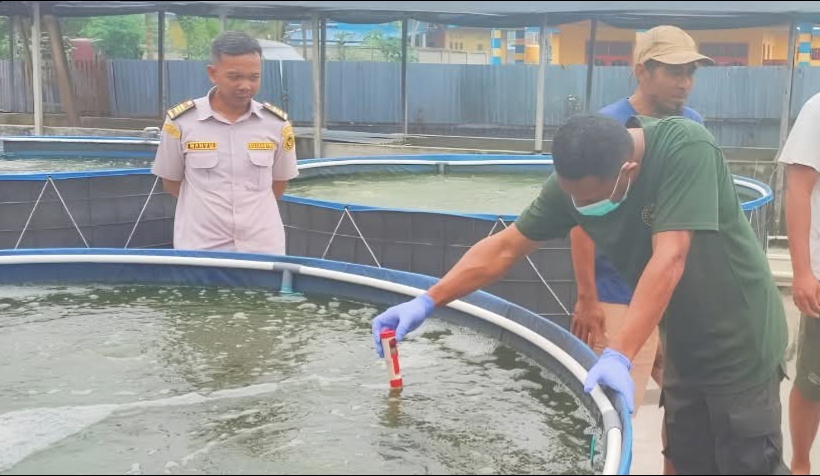 Balai Karantina Pantau Sebaran HPIK dan Ikan Invasif di Kabupaten Mimika